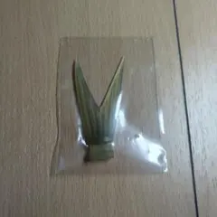 DRT クラッシュ9 Vテールのサムネイル