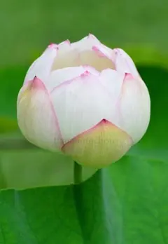 めがね太郎様 リクエスト 3点 まとめ商品