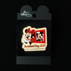 2025年最新】カリフォルニアディズニーピンバッジの人気アイテム