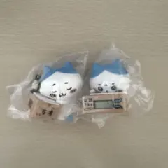 【匿名配送】ハチワレ ダンボールウォッチ