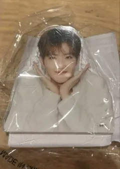 treasure ジュンギュ カプセルトイ アクリルクリップ