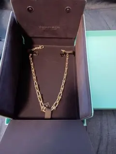 Tiffany ハードウェア グラジュエイテッドリンクネックレス