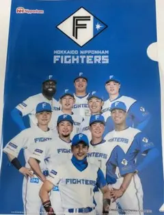 北海道日本ハムファイターズ　クリアファイル　５枚セット