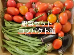 野菜セット　コンパクト箱