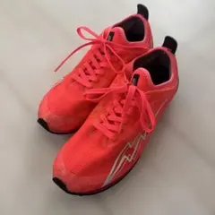 Item thumbnail for item 1d262983-0f67-49df-8c7c-d22930ac2d4a