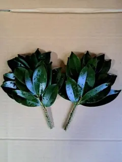 rena様 リクエスト 2点 まとめ商品