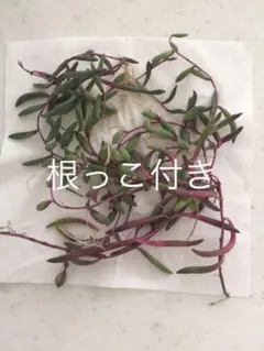 ルビーネックレス約50g