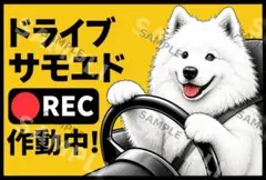 非売品】サッポロ一番 オリジナル仕様 idog アイドッグ - メルカリ
