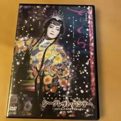 宝塚星組　さくら　シークレット•ハンター　DVD 安蘭けい　柚希礼音