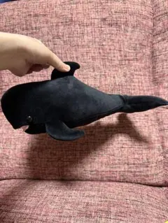 ぽちゃまる 黒いクジラ ぬいぐるみ　マリンワールド　ゆきちゃん