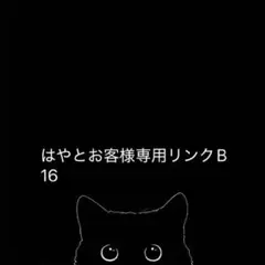 Matyお客様専用リンク P 17ケースティファイ CASETiFY