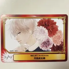 集英社コミックフェスティバル アニメイト 特典 抱きしめてついでにキスも