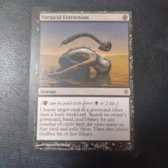 MTG 外科的摘出/Surgical Extraction