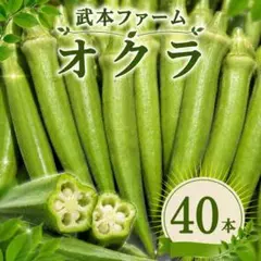 【岡山県産】オクラ エメラルド 丸オクラ 無農薬 採れたて 40本のサムネイル