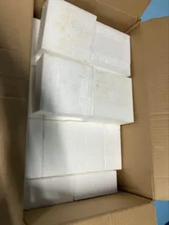 Item thumbnail for item 1858d551-83c5-490b-b87e-f5d535b96b80