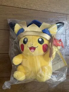 絶版 Monthly Pair Pikachu ぬいぐるみ 2月 タグ付き メルカリ