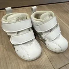 Item thumbnail for item 1d037515-c329-4416-86c4-6fda07714159