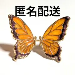 フランスの蚤の市で購入した 蝶々のウォールデコ ビンテージ 