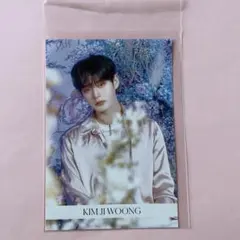 2025年最新】キムジウン チェキの人気アイテム - メルカリ