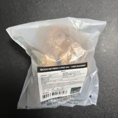 straykids ハン celebrATE キーリング LYING