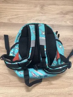 Item thumbnail for item c1fe7c65-854c-4e19-bbcd-a39ce21a0a1f