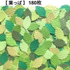 【葉っぱ】エンボス クラフトパンチ 180枚 6色 リーフ 葉 若葉 青葉 緑のサムネイル
