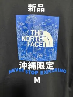 沖縄浦添限定】L THE NORTH FACE 半袖Tシャツ 黒 ブラック - メルカリ