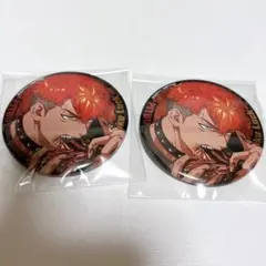 パラライ 土佐凌牙 缶バッジ6点 - メルカリ