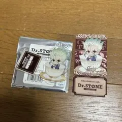 Dr.STONE アクリルキーホルダー 千空 アモカフェ ステッカー セット
