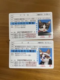 なめ猫 なめんなよ カードコレクション　免許証　２枚　又吉　ドラ吉