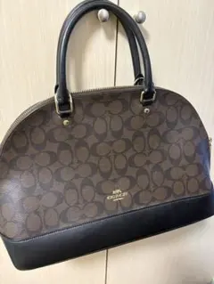 COACH シグネチャー ハンドバッグ