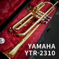 2025年最新】ytr 2310の人気アイテム - メルカリ