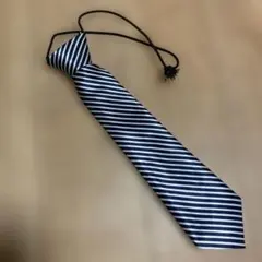 Item thumbnail for item e80cafd6-a27a-4e5c-b825-901bcf77c9ea