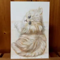 Item thumbnail for item baff7f04-bdd2-44f5-b245-7b29b66831db