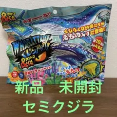 アンドコ　セミクジラ　クジラアタックアンドコ　&Co 新品　未開封