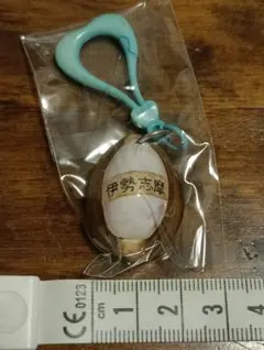 2026年最新】タカラガイの人気アイテム - メルカリ