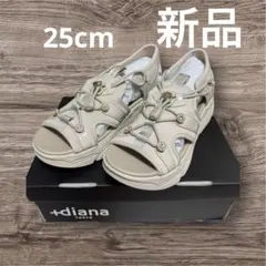 Item thumbnail for item 8b0c6eeb-cc01-48e5-a4a1-ce72837f3530