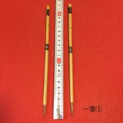 Item thumbnail for item 56d78dca-b6dd-4e28-9bad-bb164a6f57b1