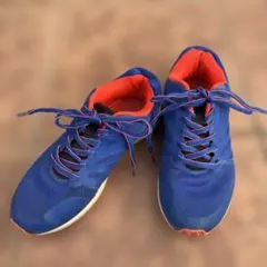 青と赤のメッシュスニーカー