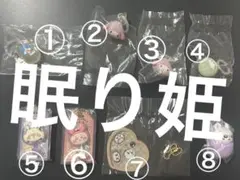 動物キャラクターアクリルキーホルダーセット
