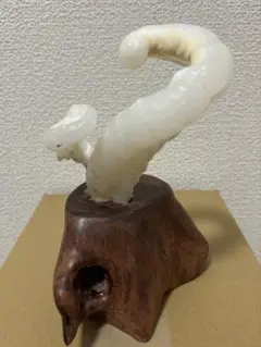 超特大・極稀少】マギルス貝（化石・玉化）原石オブジェ 博物館級