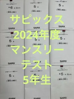 2026年最新】サピックス マンスリー 4年の人気アイテム - メルカリ