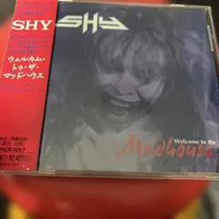SILKY LIGHT ALL JAPANESE DUB PLATE MIXXX - メルカリ