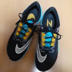 Nike Air Zoom Rival Fly ランニングシューズ 28.5cm