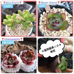 富岡義勇☆彡⚠️プロフ必読⚠️様 リクエスト 3点 まとめ商品