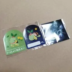 ナエトル ミュウツー ポケモン ポケモンスリープ ポケセン ステッカー 非売品