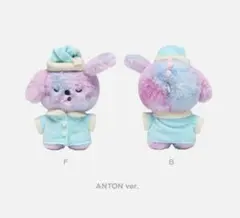 2025年最新】RIIZE アントン ぬいぐるみ 公式の人気アイテム - メルカリ