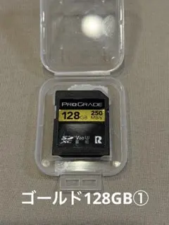 ヴ*ー様 Lexar Professional 128GB SDカード 2000 - メルカリ