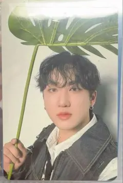 straykids チャンビン トレカ Hollow エコパ会場限定