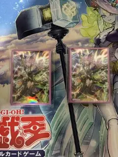遊戯王 ニューロン エルフェンノーツ レギナ スリーブ - メルカリ